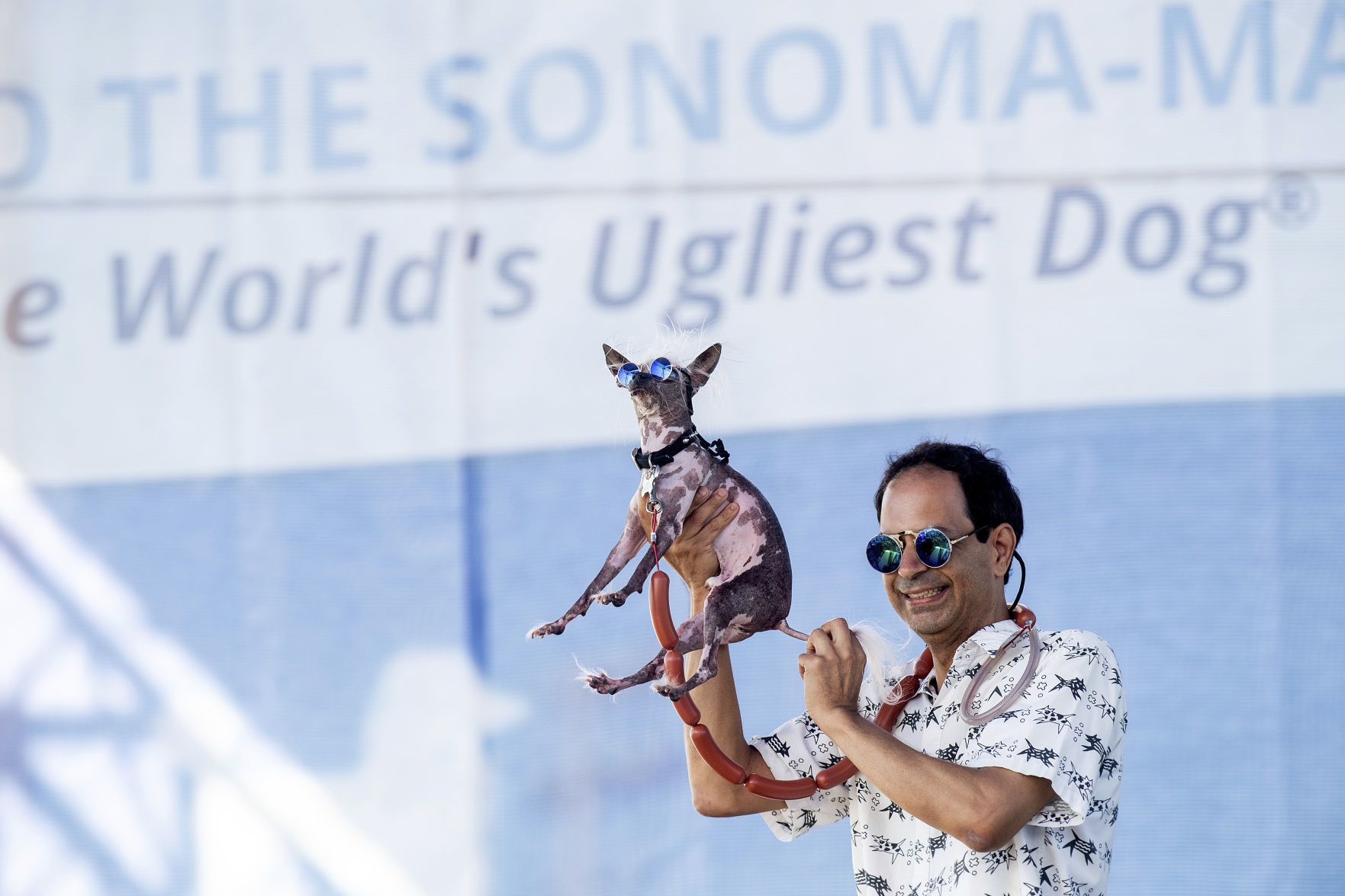 World's Ugliest Dog